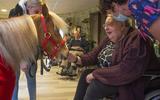 Emmen, 04/10/21: Minipaardjes op bezoek bij de bewoners van zorgcentrum Heidehiem. DN Drenthe