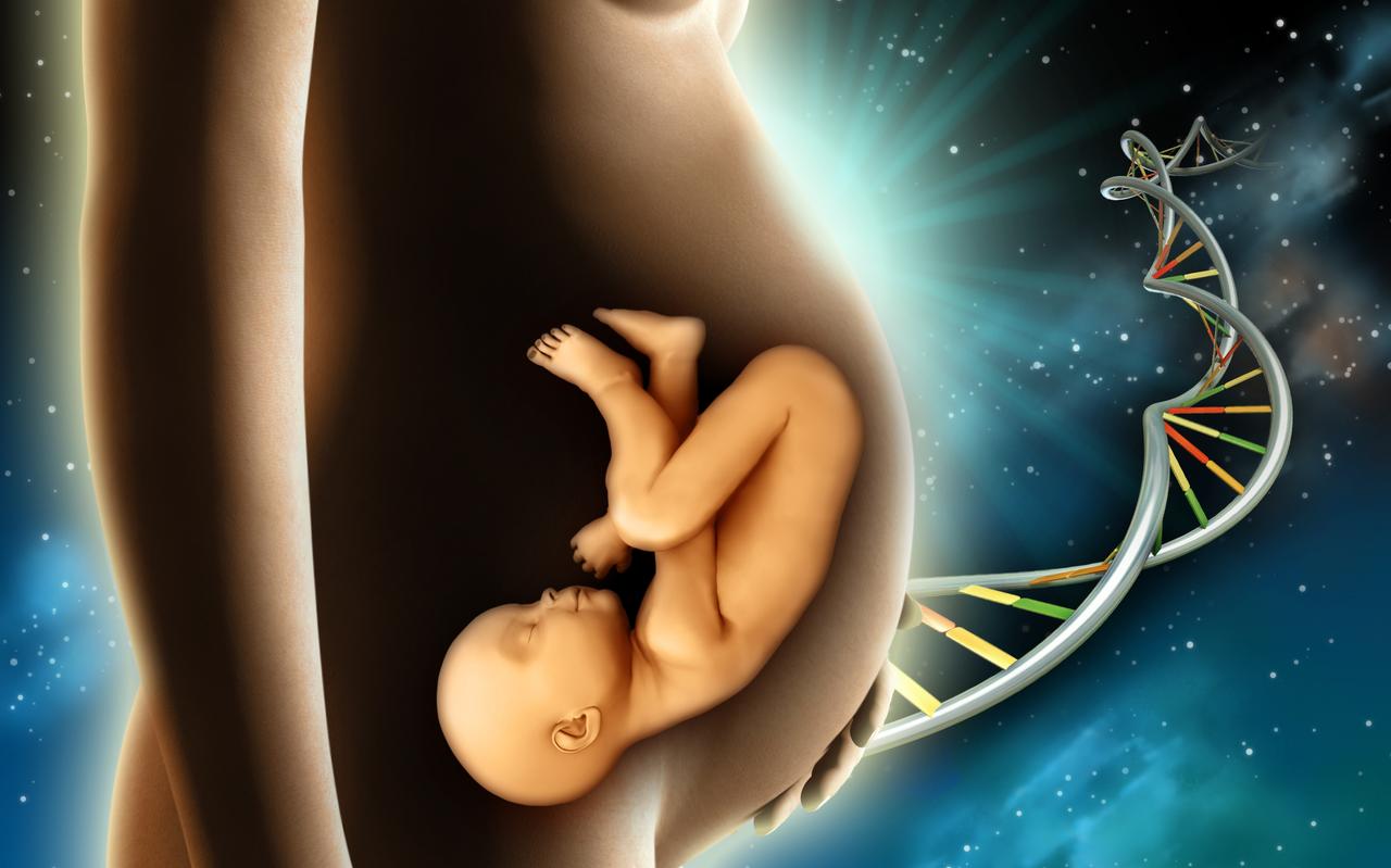 Met een bloedtest kunnen onderzoekers genetische afwijkingen voorspellen nog voordat een stel zwanger wordt. Met een bloedtest kunnen onderzoekers genetische afwijkingen voorspellen nog voordat een stel zwanger wordt.
