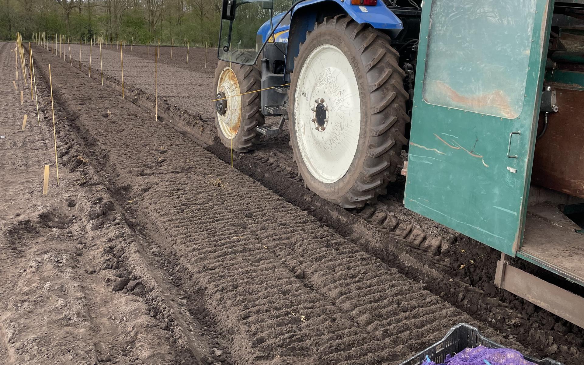 Onderzoek vanuit Wijster naar duurzamere bollenteelt met nieuwe proefvelden
