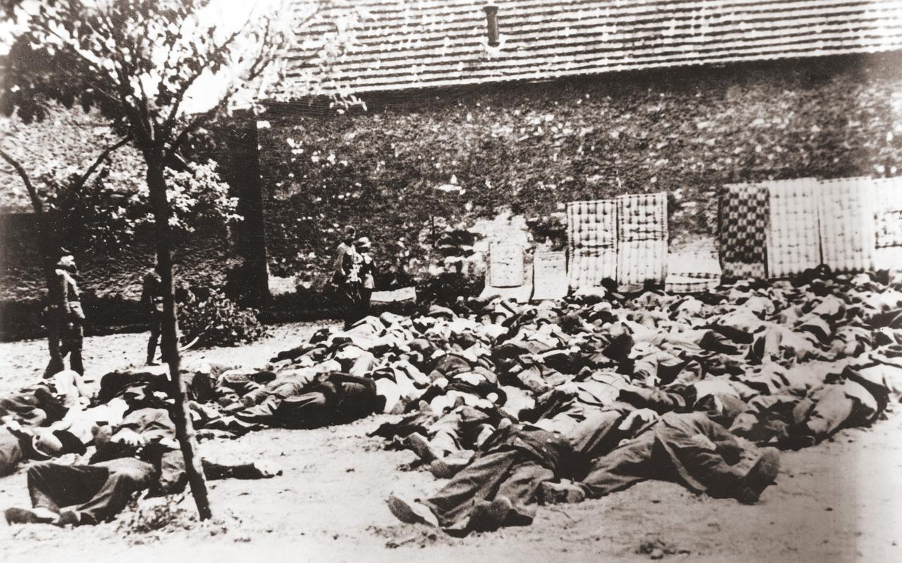 Duitse militairen staan in juni 1942 naast geëxecuteerde inwoners van Lidice. Het Tsjechische dorp werd vernietigd als vergelding voor de moordaanslag op nazikopstuk Reinhard Heydrich in Praag. 