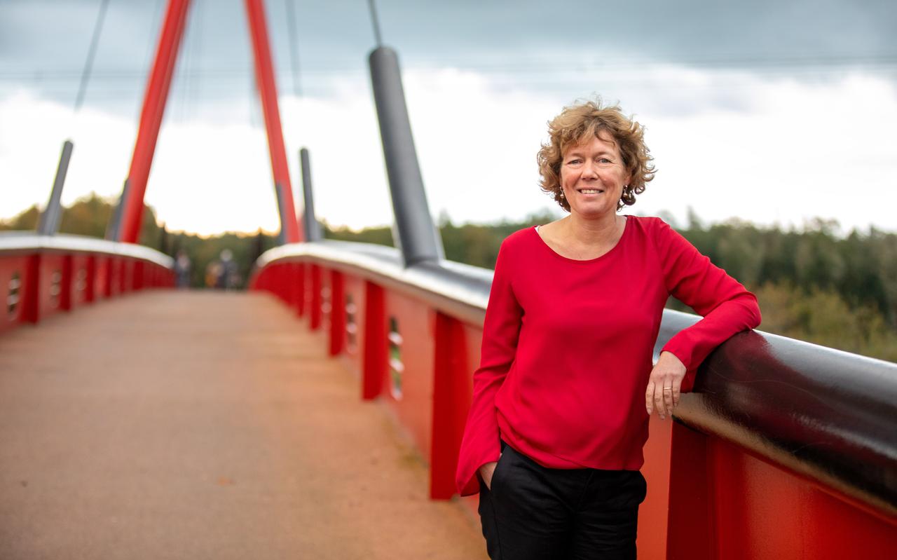 De vacature is ontstaan door het vertrek van waarnemend burgemeester Froukje de Jonge naar Almere. De vacature is ontstaan door het vertrek van waarnemend burgemeester Froukje de Jonge naar Almere.