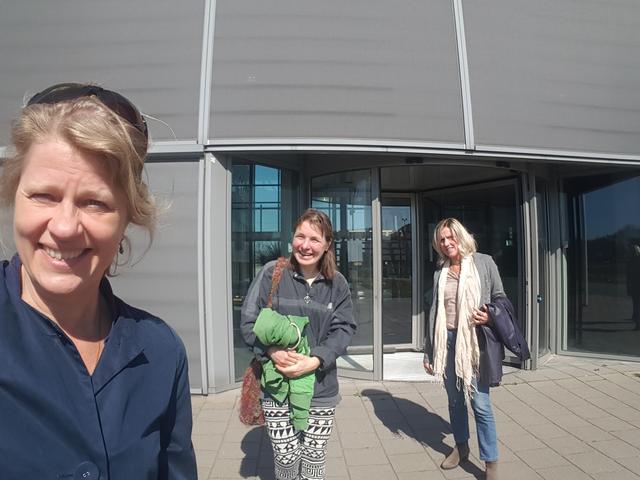 Verzet tegen bomenkap in Haren. ‘Groene gemeente’ Groningen wil Boomwachters aan de kant zetten. ‘Ka