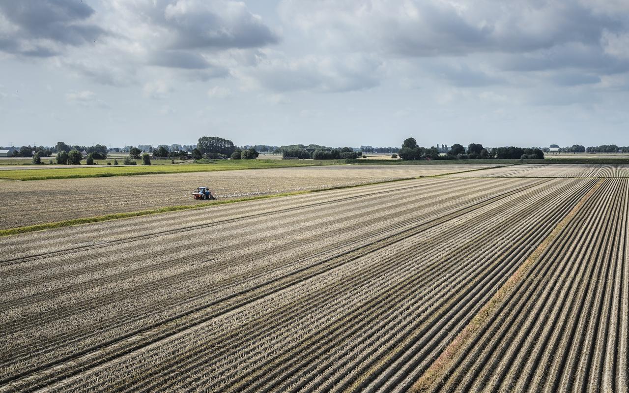 Landbouwgrond bij de Eemshaven. Landbouwgrond bij de Eemshaven.