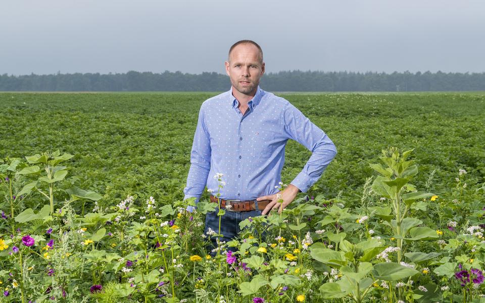 Jan Reinier de Jong