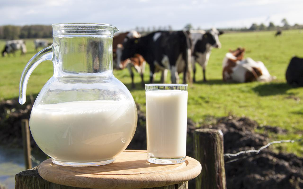 Betalen we binnenkort ook minder voor melk in de supermarkt?