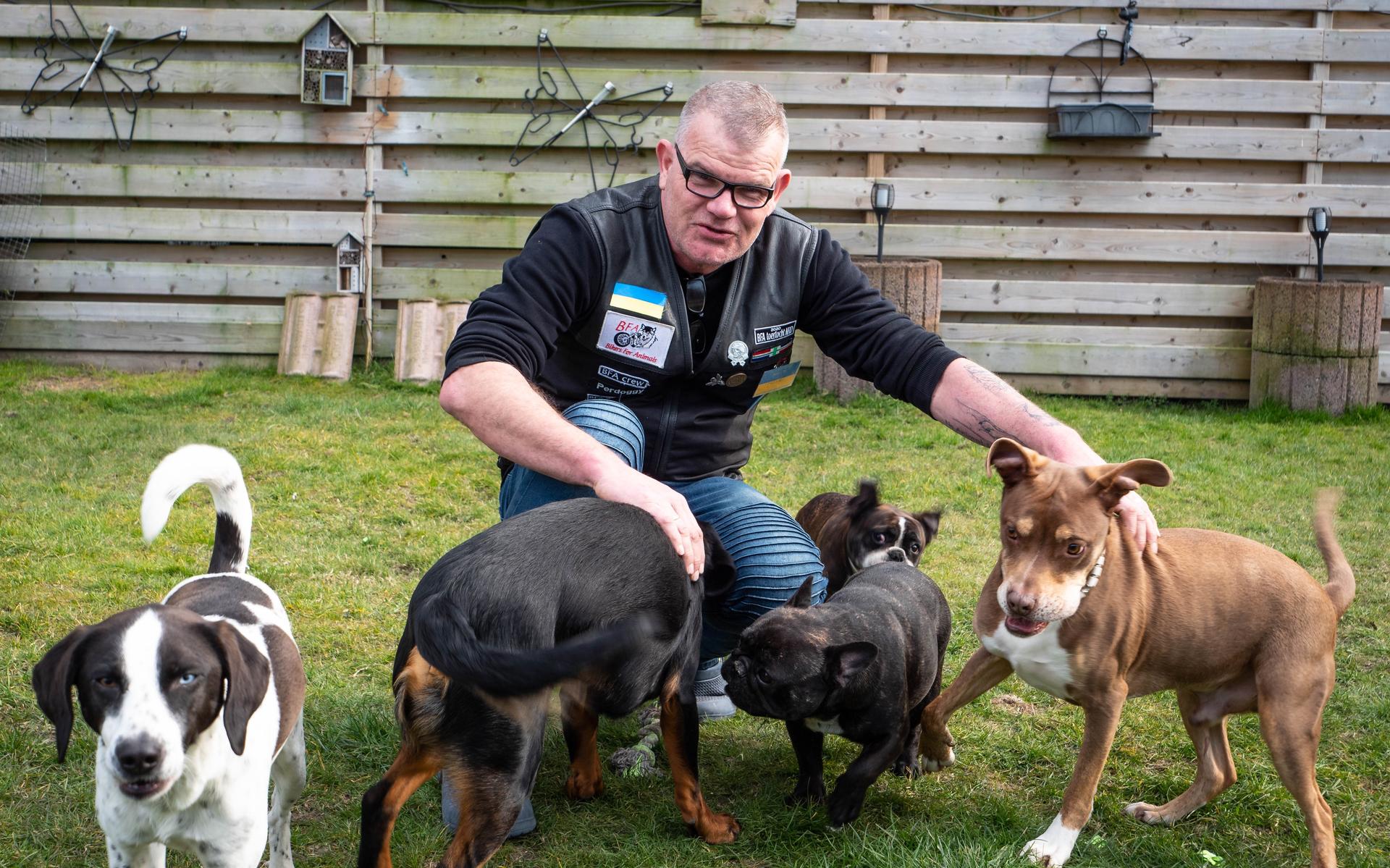 Dierenopvang in Borgsweer wint Serious Request voor Dieren. 40 dierenwensen streden om hoofdprijs 35