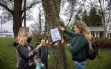 Bewoners van camping Meerzicht bij Matsloot hielden afgelopen winter een actie tegen de plannen van EuroParcs. Ze vrezen dat deze keten veel fraaie bomen en ander groen van het park gaat verwijderen.