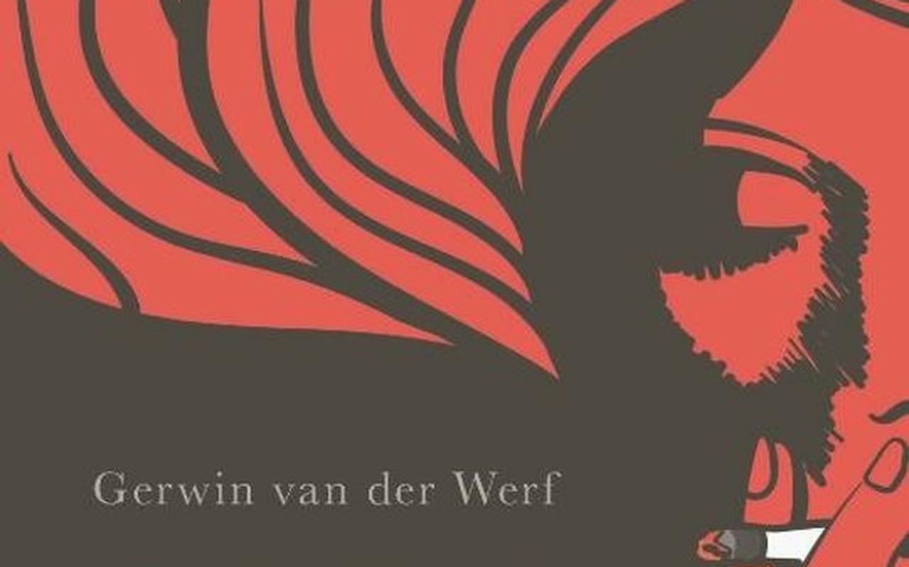 Onderwijsroman? Sociale roman? Uiteindelijk blijkt 'De droomfabriek