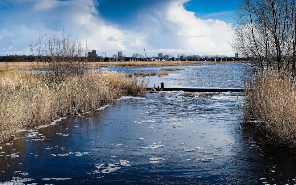 Hoogwater in De Onlanden.