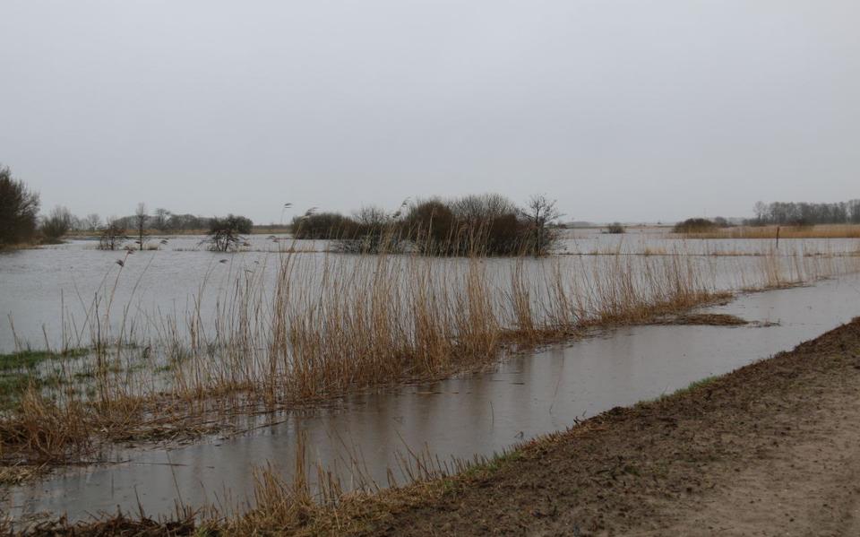 De Nieuwedijk bij Wedde.