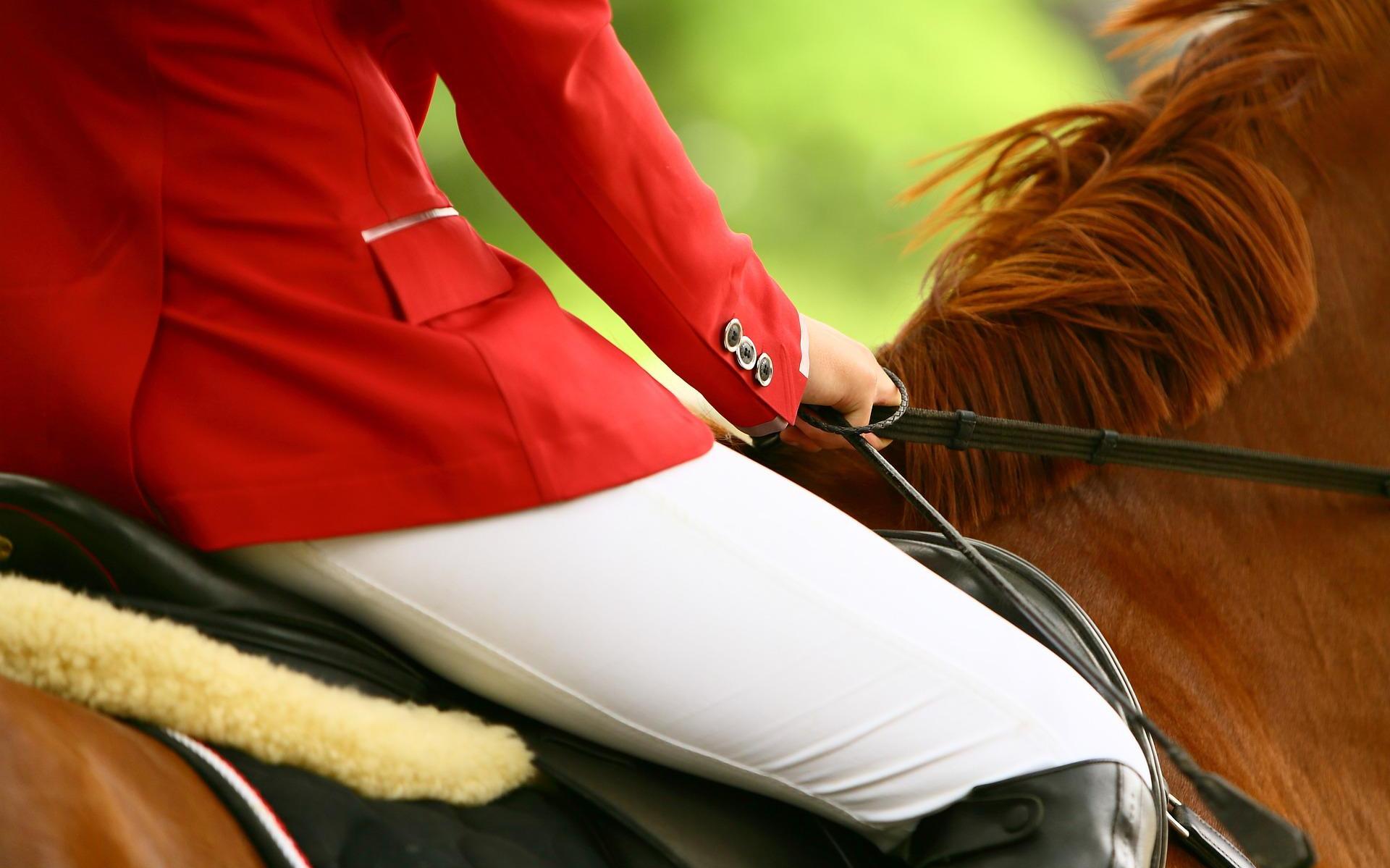Monique Ploeger verhuist haar manege naar Winschoten: 'We zijn in Midwolda uit ons jasje gegroeid' -