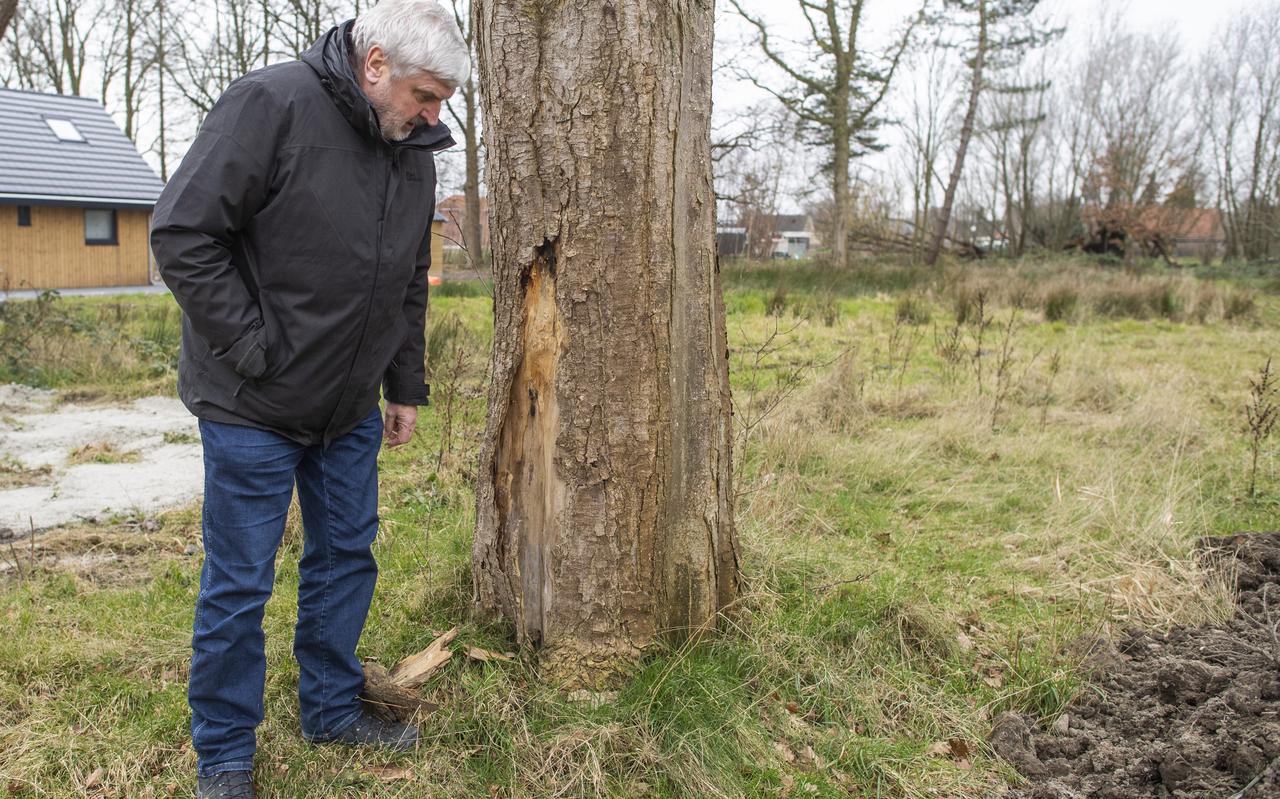 Beekman inspecteert de staat van een stervende boom. Beekman inspecteert de staat van een stervende boom.