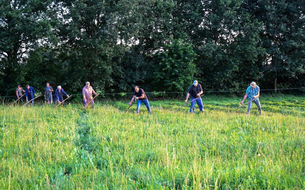 Een training van de Drentse Zendemaaiers. Een training van de Drentse Zendemaaiers.