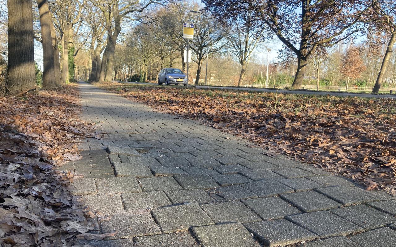 Het fietspad langs de Peelstraat tussen Erica en Schoonebeek, aan de kant van de tuinders. Het fietspad langs de Peelstraat tussen Erica en Schoonebeek, aan de kant van de tuinders.