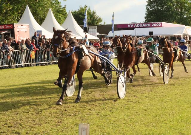 Harddraverij, Roofvogelshow, Op Roakeldais en meer uitjes in Groningen en Drenthe deze week