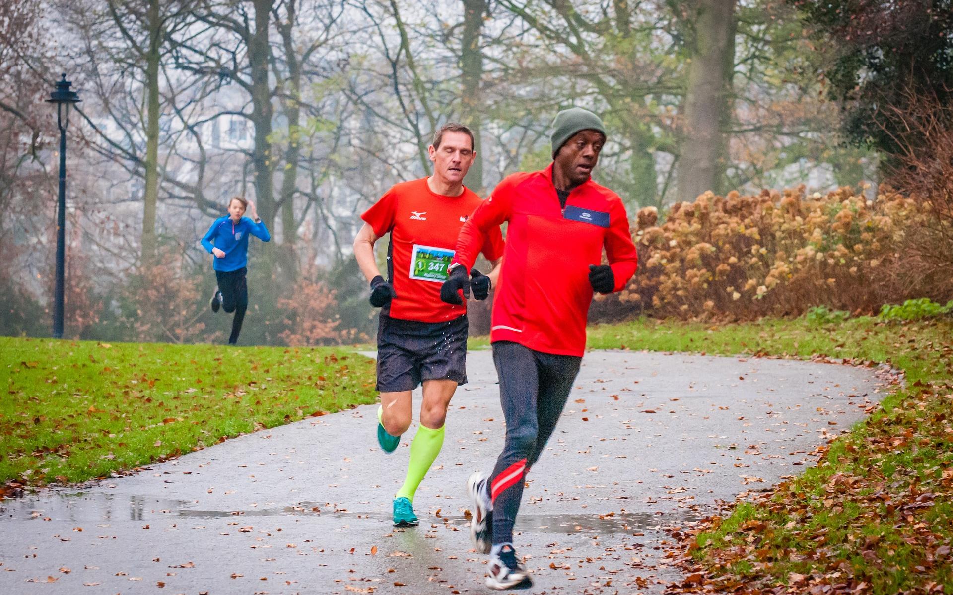 De vier mijl van Annerveenschekanaal loopt over zowel verharde als onverharde paden.