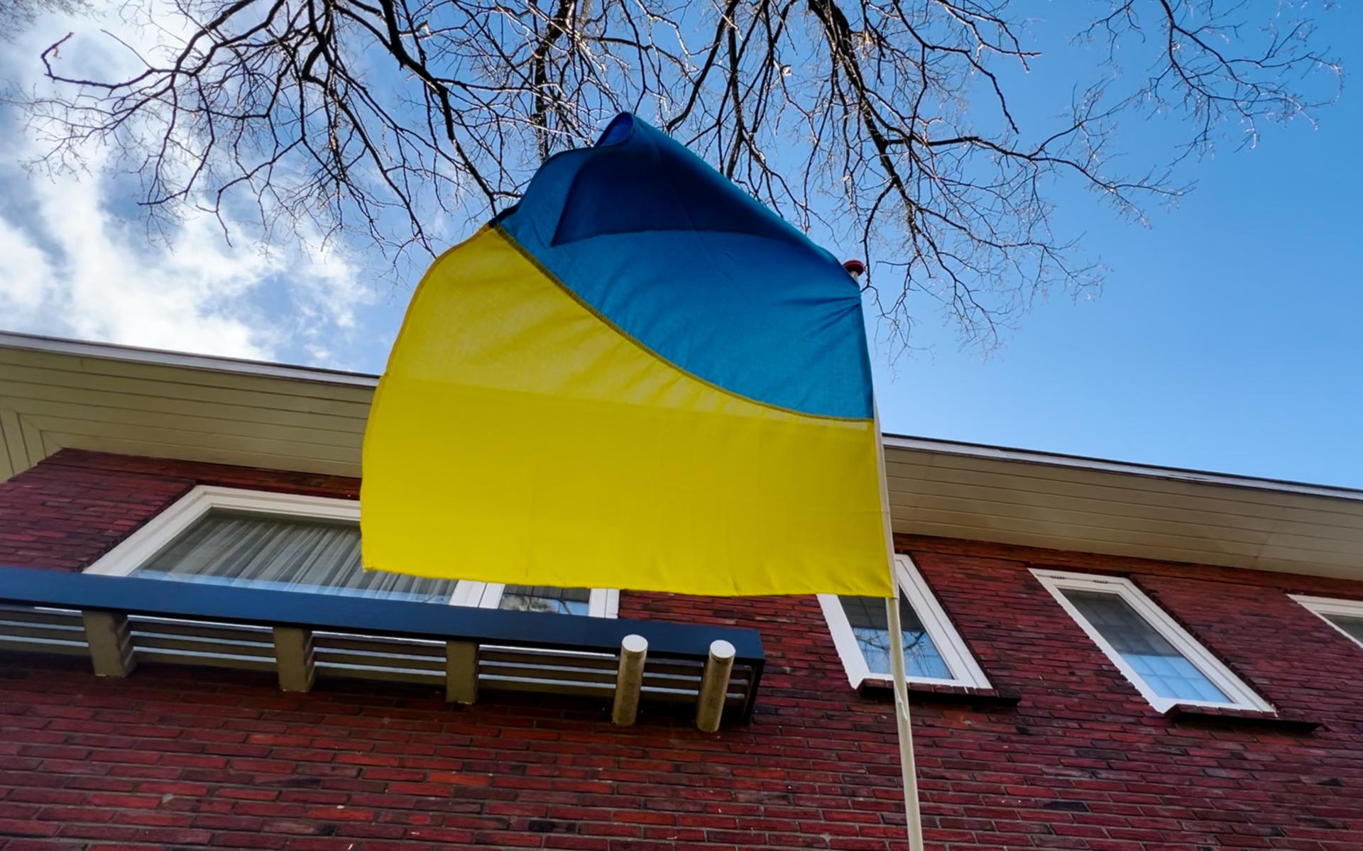 De vlag van Oekraïne in top.