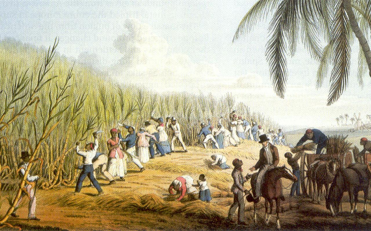 Een schoolplaat met slaven aan het werk op de plantage. Voor het slavernijverleden moet nog veel aandacht komen. 