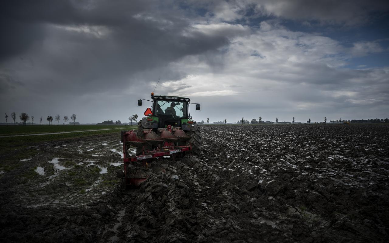Een boer ploegt de klei van zijn akker bij Eppenhuizen. Veel akkerbouwers boerden goed dit jaar, in tegenstelling tot varkens- en pluimveeboeren. Een boer ploegt de klei van zijn akker bij Eppenhuizen. Veel akkerbouwers boerden goed dit jaar, in tegenstelling tot varkens- en pluimveeboeren.