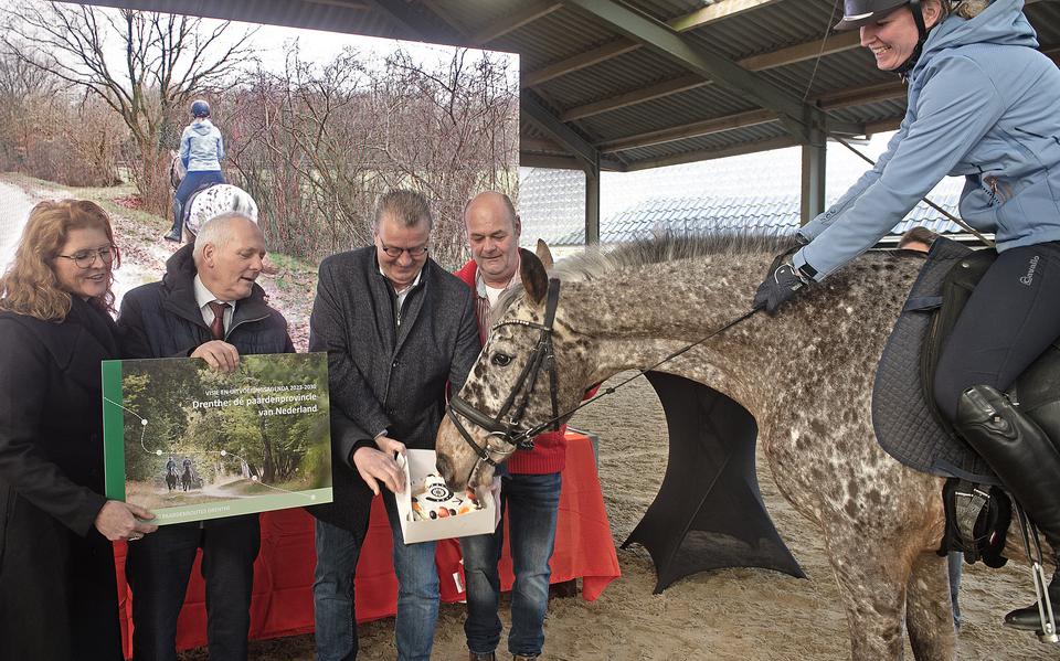 De presentatie van ideeën over meer paardentoerisme in Drenthe. V.l.n.r.: Marjolein van Tiggelen, gedeputeerde Henk Brink, Bas Luinge (Recreatieschap Drenthe), Martin Bottelier (vicevoorzitter Paardenroutes Drenthe) en manegepaard Spikkel.