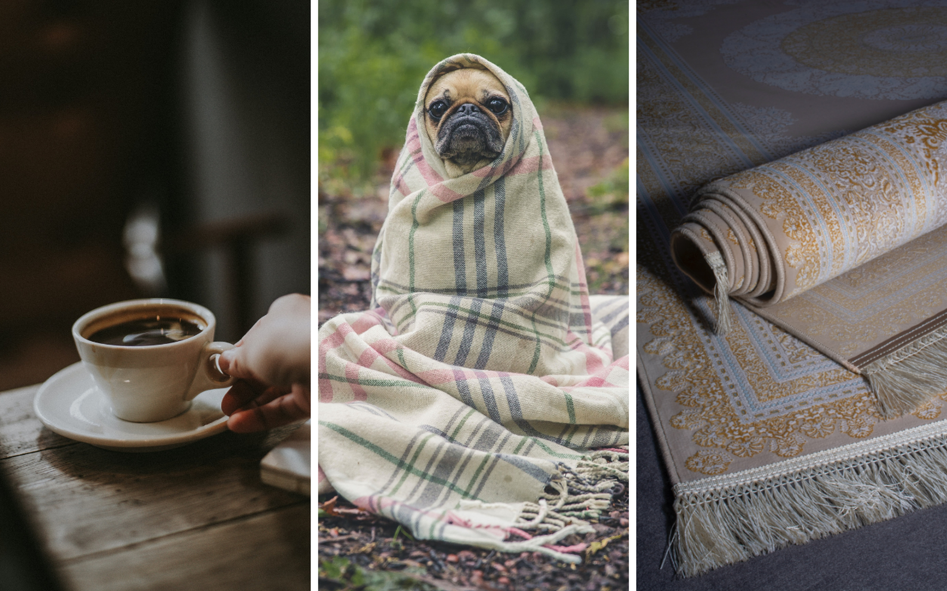 Onder andere koffie, producten voor huisdieren en vloerbedekking werden in maart flink duurder.