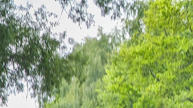 Politie bedolven onder complotten en haat na vondst van overleden persoon in Ter Apel