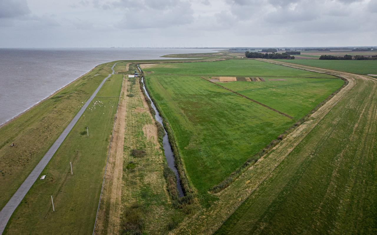 De Dubbele Dijk is al verrezen bij Bierum, in de volgende fase wil de provincie Groningen het tussenliggende gebied verbinden met zee via een duiker. Omliggende boeren zijn daar fel op tegen.