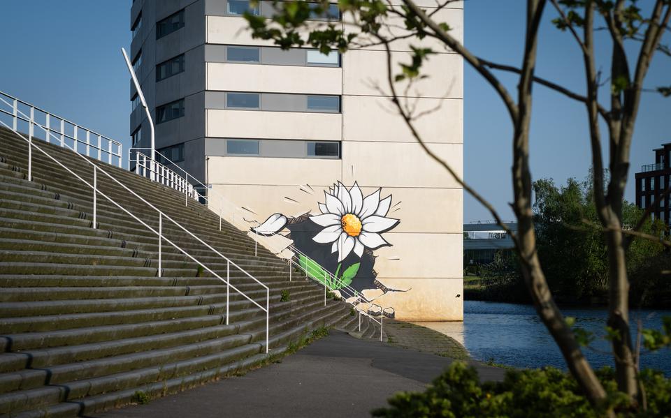 Op de gevel van De Stoker is een grote bloem geschilderd. De VVE van de flat hoopt zo vandalisme te voorkomen.