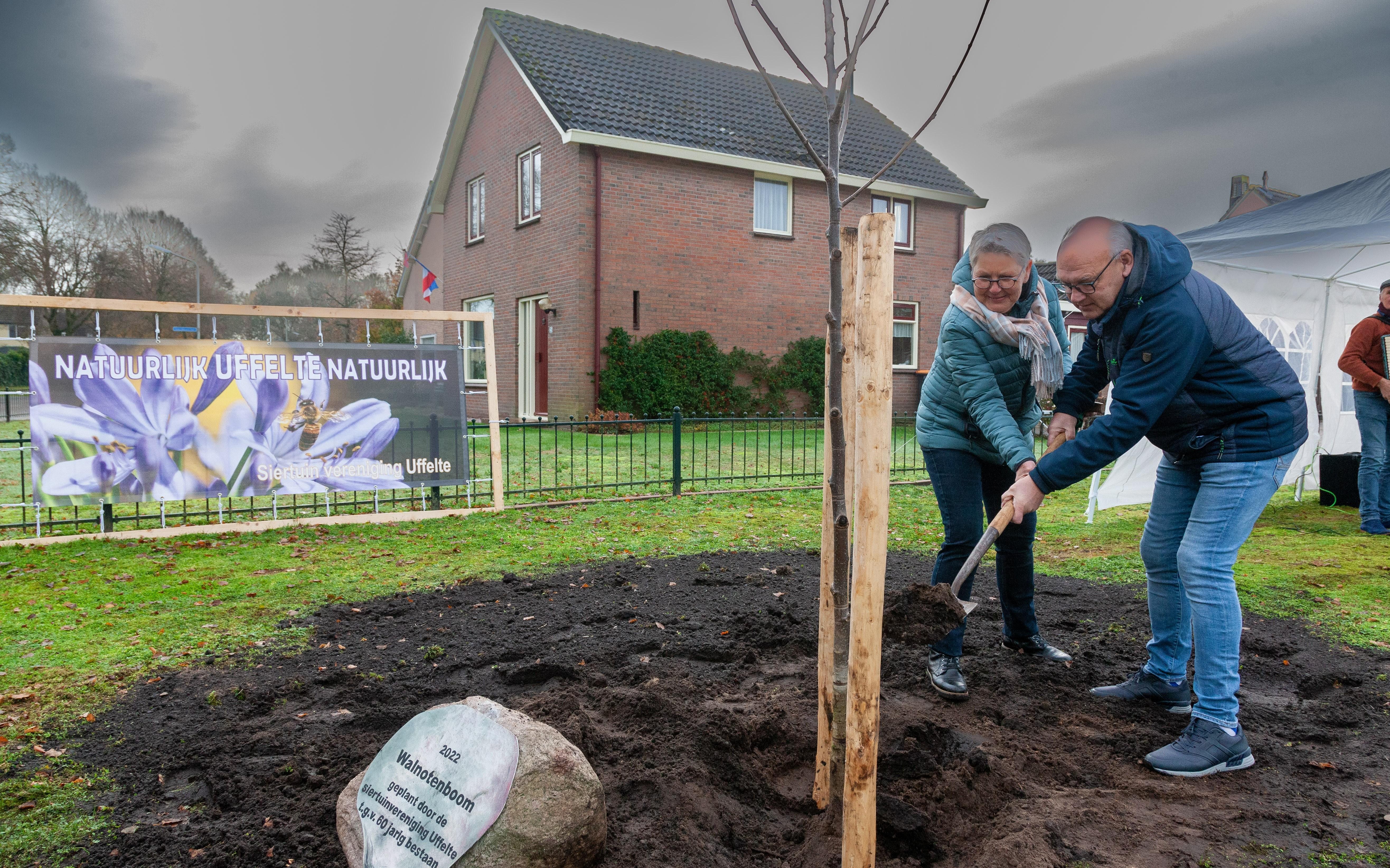 Uffelte krijgt walnotenboom cadeau van jarige siertuinvereniging