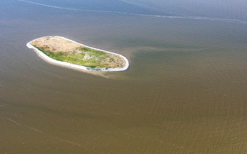Het broedeiland. Foto: Luchtsurveillance Rijkswaterstaat
