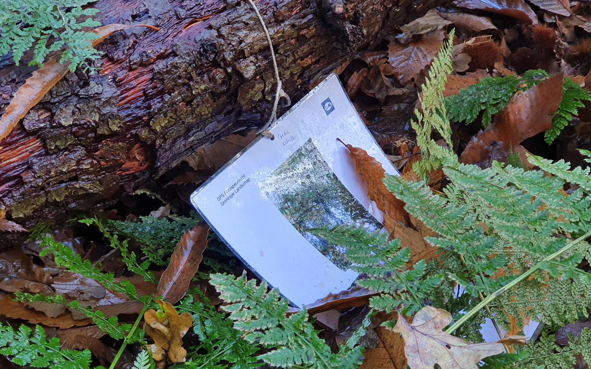 Speurtocht door het Coendersbos in Nuis.