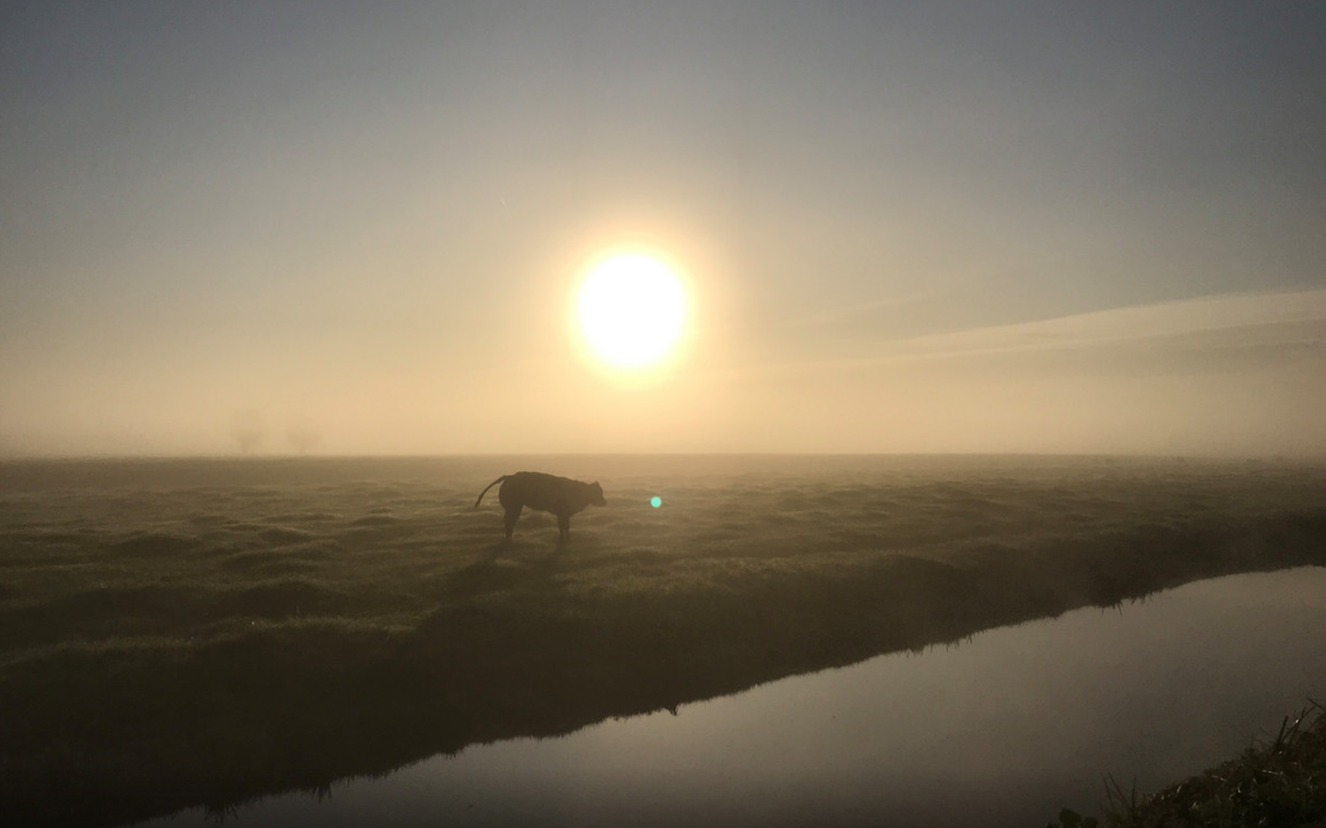 Kortste dag van het jaar, hierna worden de dagen weer langer Dagblad