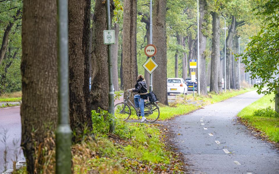 De oversteekplaats op de Asserstraat richting de Tumuliboslaan, waar in 2023 een dodelijk ongeluk plaatsvond.