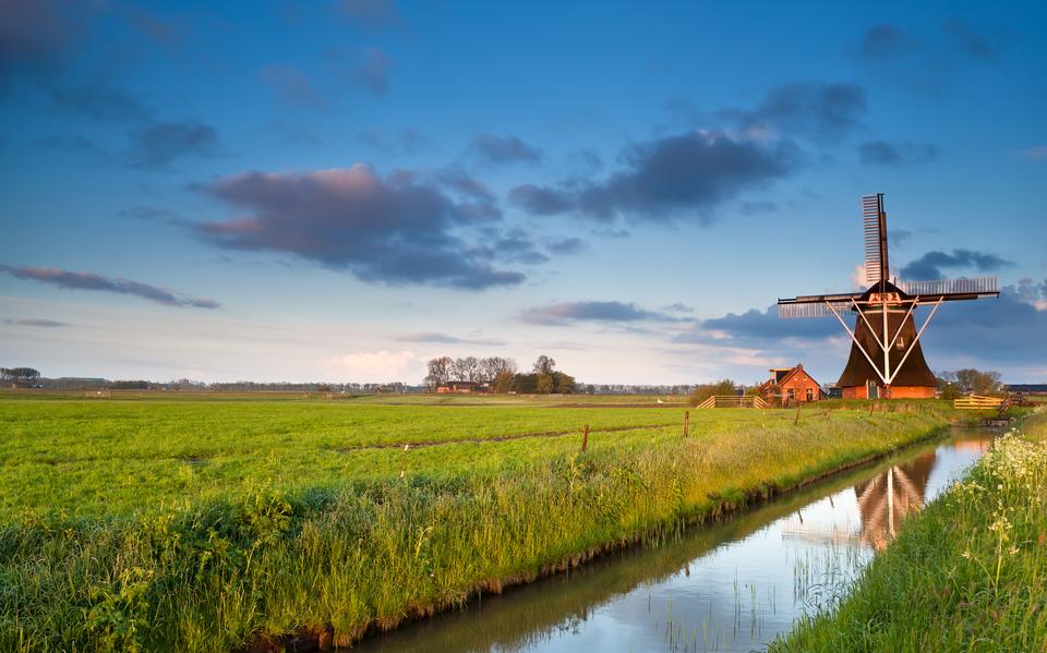 Foto: Shutterstock
