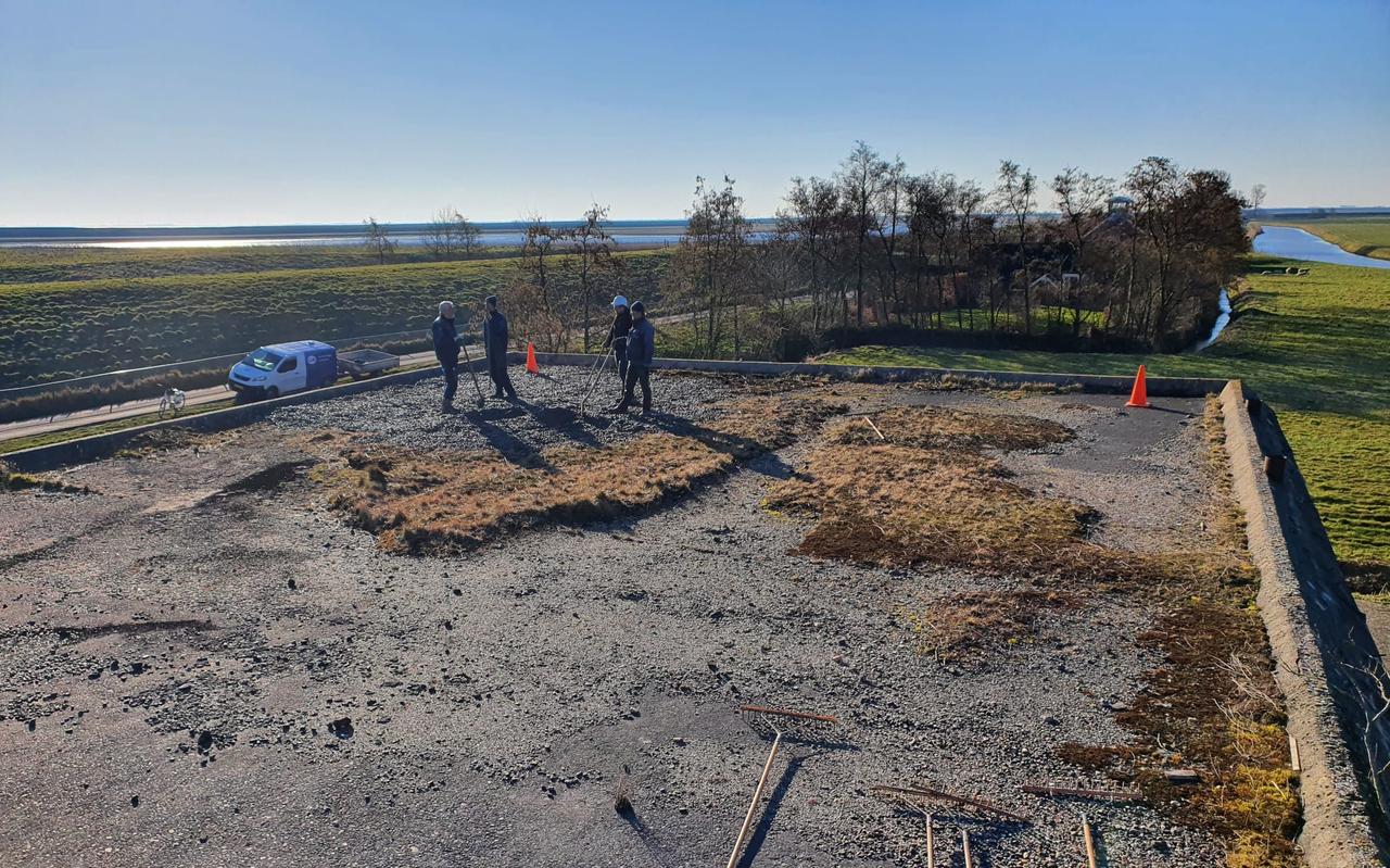Het dak van een van de bunkers bij Batterij Fiemel is bedekt met een speciale laag kleischelpen. Kustvogels zoals visdieven broeden graag op kiezelstrandjes, maar juist daar zijn ze kwetsbaar. Het dak van een van de bunkers bij Batterij Fiemel is bedekt met een speciale laag kleischelpen. Kustvogels zoals visdieven broeden graag op kiezelstrandjes, maar juist daar zijn ze kwetsbaar.