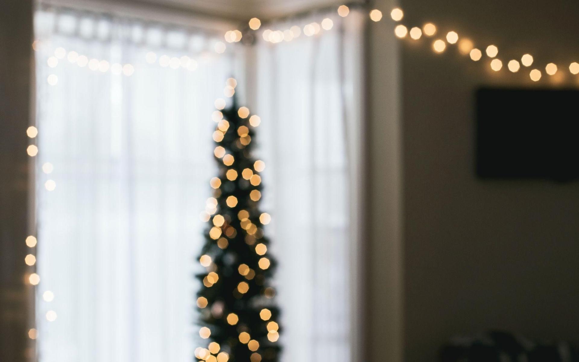 Foto: unsplash.com