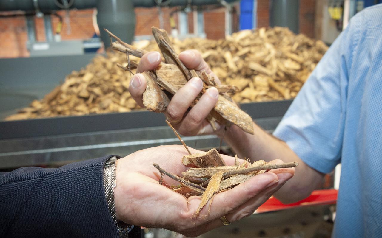 Bij Avantium in Delfzijl wordten uit resthout van Staatsbosbeheer bioplastics gemaakt. Bij Avantium in Delfzijl wordten uit resthout van Staatsbosbeheer bioplastics gemaakt.
