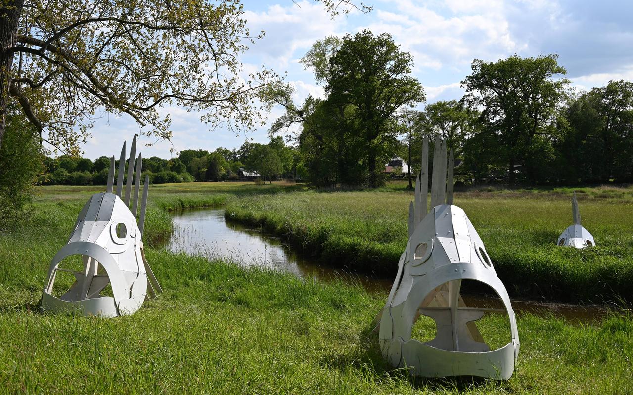 De installatie 'Blowin' in the Wind' van Meg Mercx en Rob Verwer past perfect in het Reestdal. De installatie 'Blowin' in the Wind' van Meg Mercx en Rob Verwer past perfect in het Reestdal.