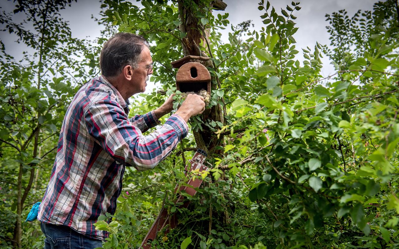 Ecoloog Jan Doevendans haalt het nest van een koolmees uit de nestkast. Bij zijn huis op vakantiepark Suyderoogh in Nationaal Park Lauwersmeer heeft de 66-jarige ecoloog een tuin van 2000 vierkante meter waar hij al 25 jaar onderzoek doet en waar het wemelt van de vogels. Ecoloog Jan Doevendans haalt het nest van een koolmees uit de nestkast. Bij zijn huis op vakantiepark Suyderoogh in Nationaal Park Lauwersmeer heeft de 66-jarige ecoloog een tuin van 2000 vierkante meter waar hij al 25 jaar onderzoek doet en waar het wemelt van de vogels.