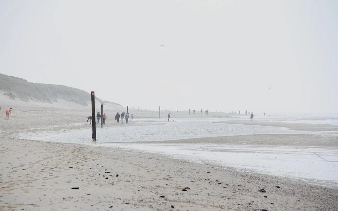 Strand op Texel. Strand op Texel.