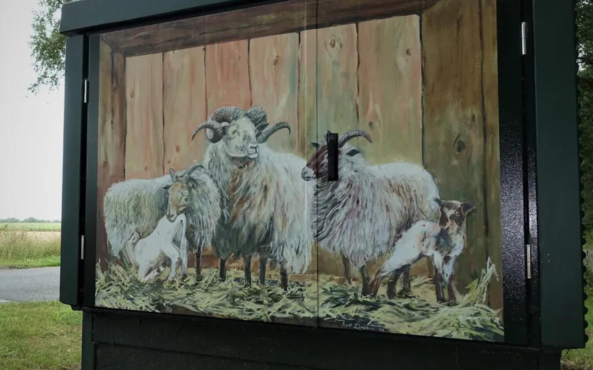 Kunst uit het dorp leukt saaie, grauwe elektriciteitskastjes op in Gasteren