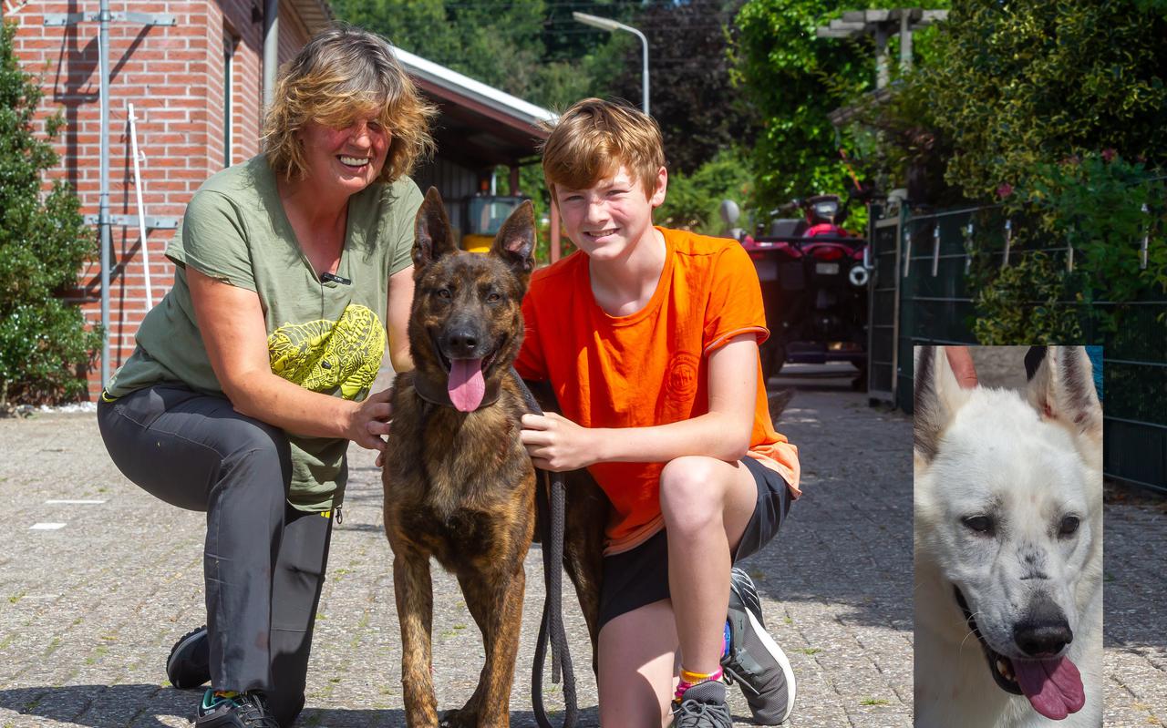 Jane Bijmholt en haar zoon Renzo met hond Max na de terugkeer van de honden afgelopen zomer. Inzet: Rex.