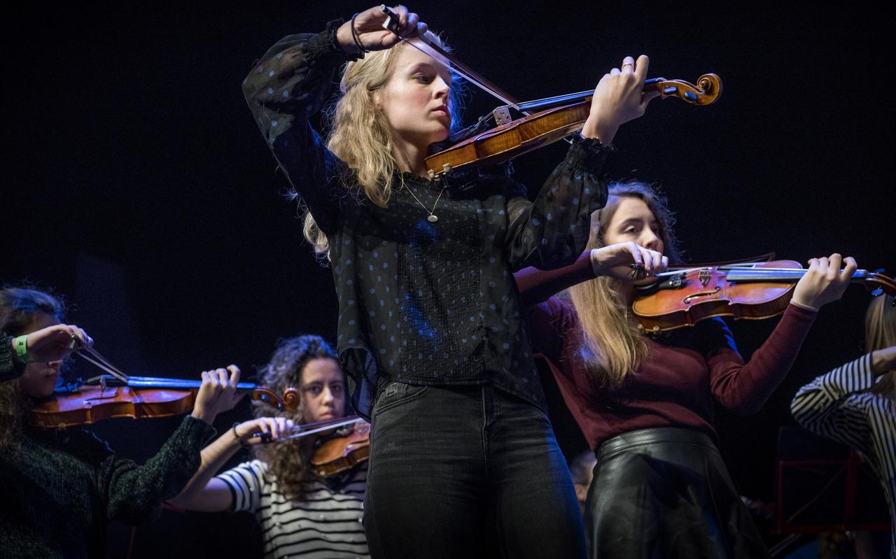Het Haydn Jeugd Strijkorkest trad vorig jaar op tijdens het slotconcert van Soundsofmusic. Hopelijk was dat niet de zwanenzang van het festival voor nieuwe muziek. Het Haydn Jeugd Strijkorkest trad vorig jaar op tijdens het slotconcert van Soundsofmusic. Hopelijk was dat niet de zwanenzang van het festival voor nieuwe muziek.