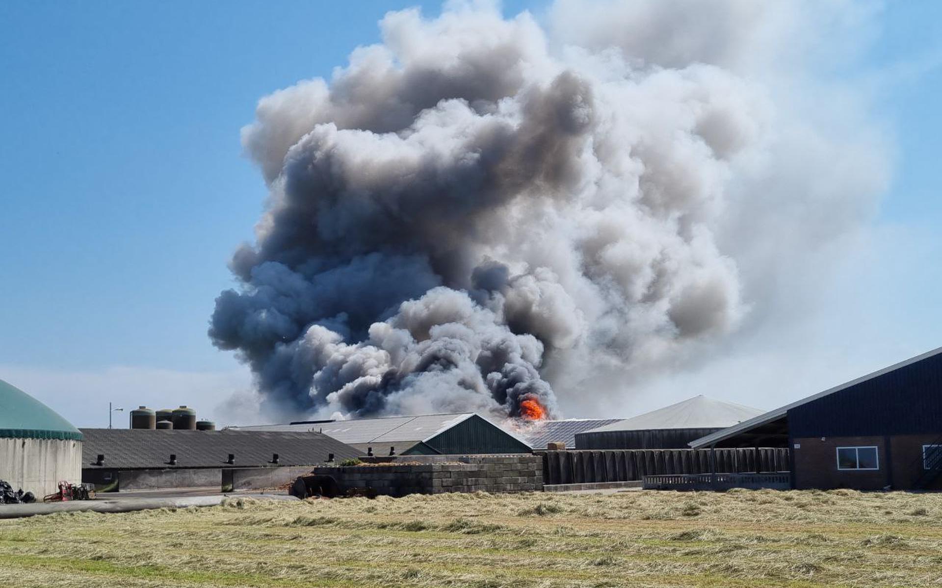 Fire at Pig Farm in Beerta Results in Death of Hundreds of Pigs and One Injury