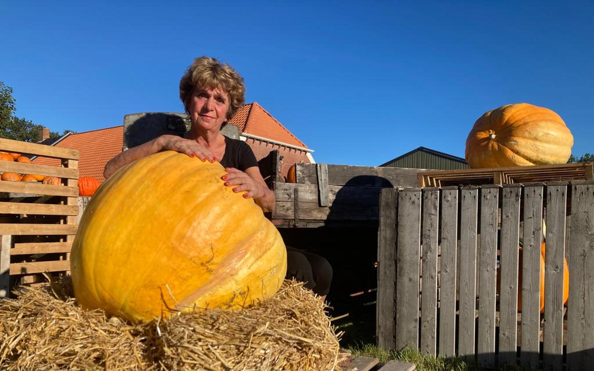 Sarina uit Kiel-Windeweer verkoopt deze reuzenpompoenen. 'Een zaadje kost 7,50 euro'