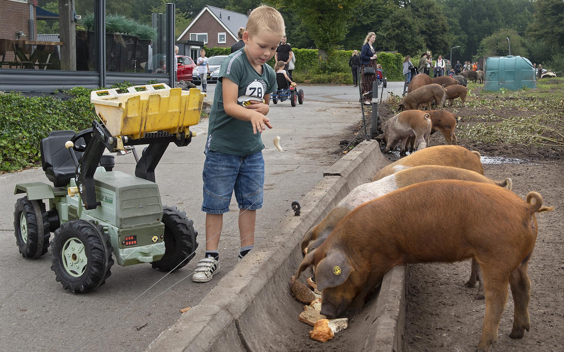 Deze 'vijfsterrenkarbonades' van Akkervarken in Valthermond helpen ons af van berenklauw, Japanse du
