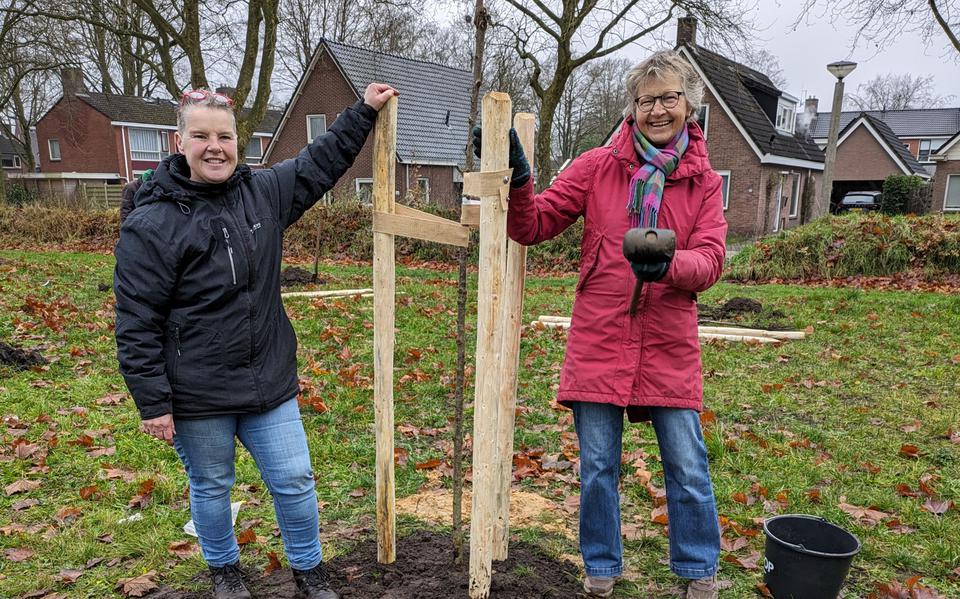 Fruitbomen Zijn Geplant Nu Wacht Westerbork Op De Eerste Appels En