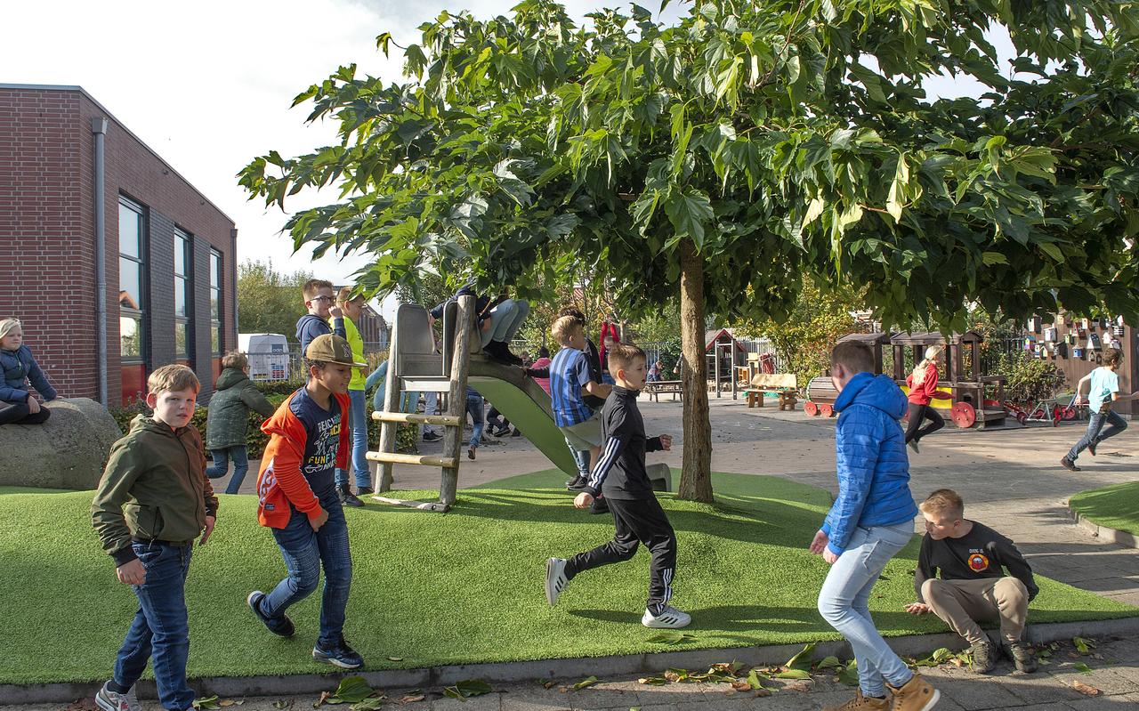 Het schoolplein van de Paul Krugerschool in Coevorden is een voorbeeld hoe de groene pleinen er uit kunnen zien. Het schoolplein van de Paul Krugerschool in Coevorden is een voorbeeld hoe de groene pleinen er uit kunnen zien.