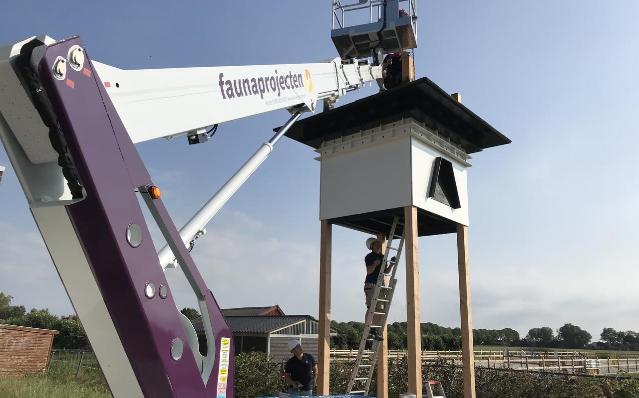 In afwachting van de versterking liet de gemeente Midden-Groningen afgelopen zomer alvast een vleermuistoren achter De Pompel plaatsen.