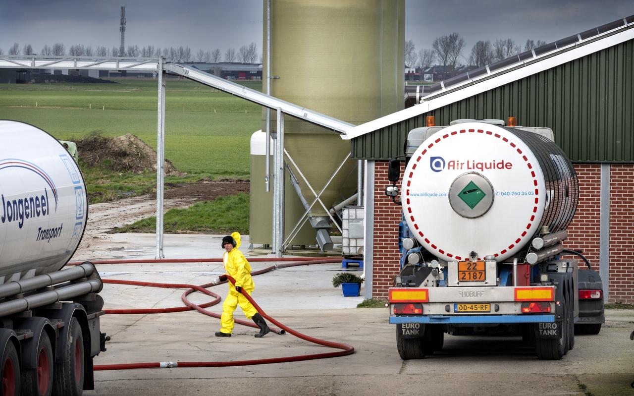 Vanaf het voorjaar werd een snelgroeiende rij Groningse pluimveehouderijen getroffen door de vogelgriep: veel bedrijven werden geruimd, zoals hier in Woltersum. Vanaf het voorjaar werd een snelgroeiende rij Groningse pluimveehouderijen getroffen door de vogelgriep: veel bedrijven werden geruimd, zoals hier in Woltersum.